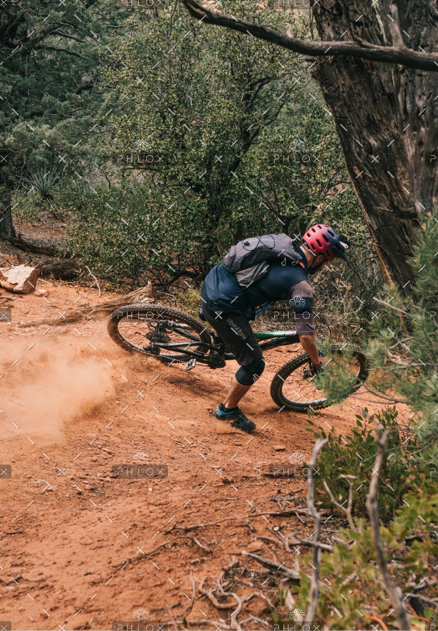 demo-attachment-1257-sidney-pearce-1109107-unsplash